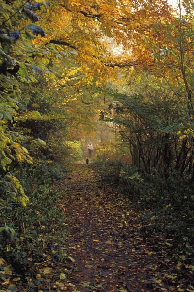 Nature walk